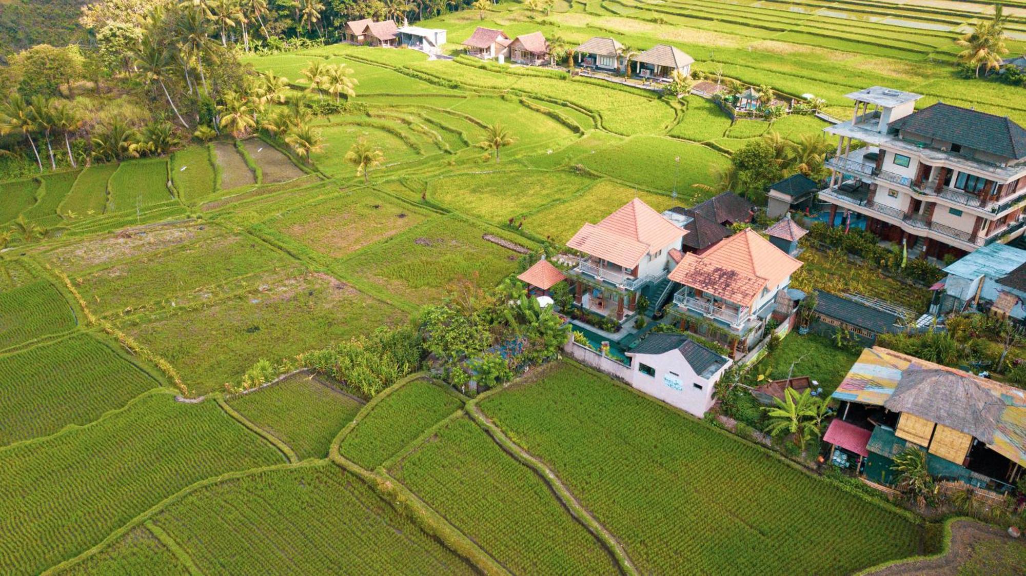 Raditya Villa Ubud Eksteriør billede